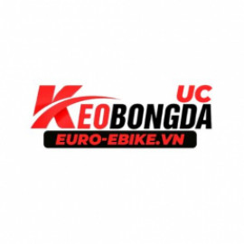 Profile picture of bokkorpk1@gmail.com