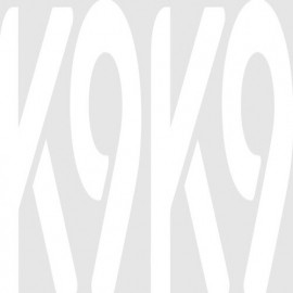 Profile picture of k9k9slot@gmail.com