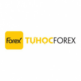 Profile photo of thuylinhtran671@gmail.com