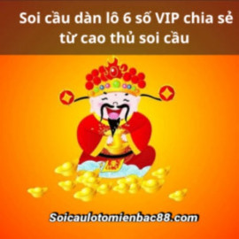 Profile picture of soicaulotomienbac88com@gmail.com