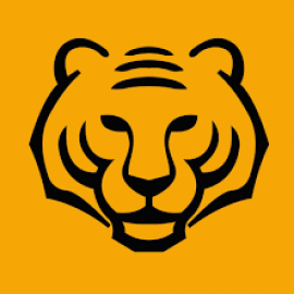Profile photo of asiantigersgroup@protonmail.com