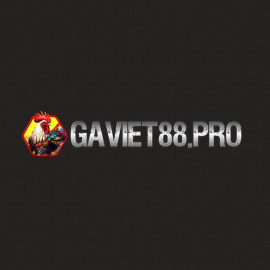 Profile picture of dagatructiepgaviet88@gmail.com