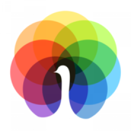Profile picture of peafowlitsolution@gmail.com