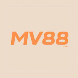 Profile picture of havangiang279@gmail.com