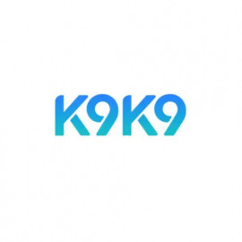 Profile picture of k9k9gamecomm@outlook.com