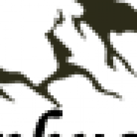 Profile picture of halophuotsp@gmail.com