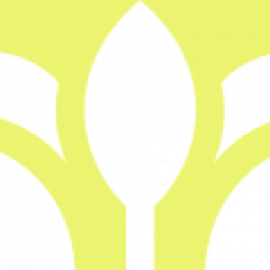 Profile picture of paoi72.892@gmail.com