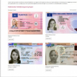 Profile picture of rijbewijs300@gmail.com