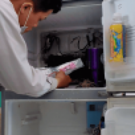 Profile photo of t.uye.n.hat99888@gmail.com