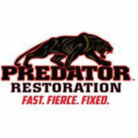 Profile picture of predatorrestoration75@comfythings.com