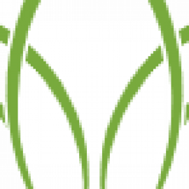 Profile photo of jinvoice0617@gmail.com