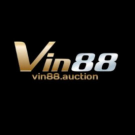 Profile picture of vin88auction@outlook.com