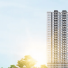 Profile photo of qu.o.c.tra.n.dx1@gmail.com