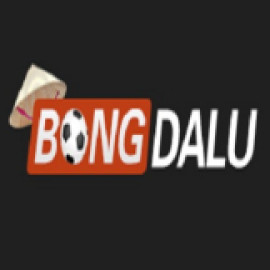 Profile picture of nhacaibongdalu5@gmail.com