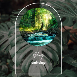 Profile picture of aa01086696963@gmail.com