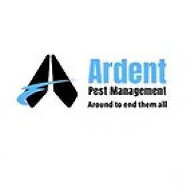 Profile photo of ardentpestmanagementsg@gmail.com
