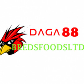 Profile picture of Anhthu66124@gmail.com