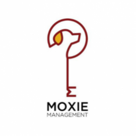 Profile photo of l95084154@gmail.com