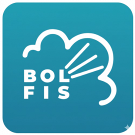 Profile photo of bolfiscleaningandeco@gmail.com
