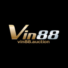 Profile picture of vin88auctionn@outlook.com