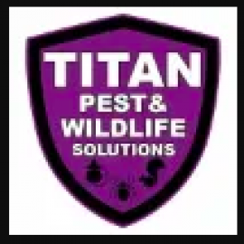 Profile photo of titanpestsolutions02@gmail.com