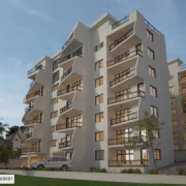 Profile photo of reeltor537@gmail.com