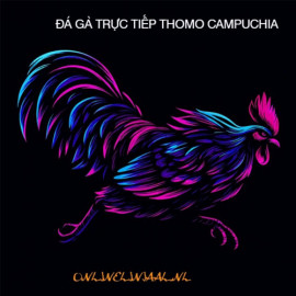 Profile picture of a85005696@gmail.com