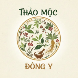 Profile photo of lyhaiquanque@gmail.com