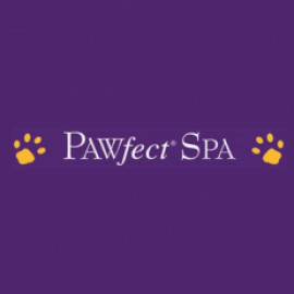 Profile photo of jordangeo530@gmail.com