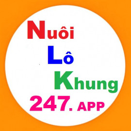 Profile photo of nuoilokhung247app@gmail.com