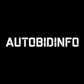 Profile photo of autobidinfo5@gmail.com