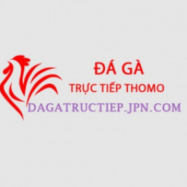 Profile photo of ha9136769@gmail.com