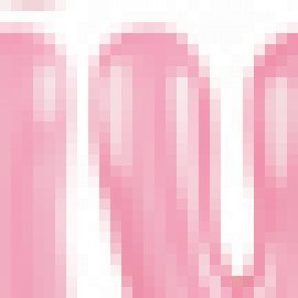 Profile picture of mrpau.l.vip88@gmail.com