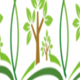 Profile photo of longbui58298@gmail.com