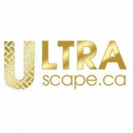 Profile photo of ultrascapeca5@gmail.com