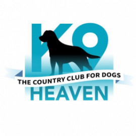 Profile picture of nzk9heaven@gmail.com