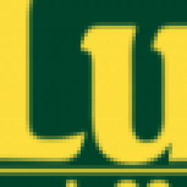 Profile photo of manhco.w.ne7890@gmail.com