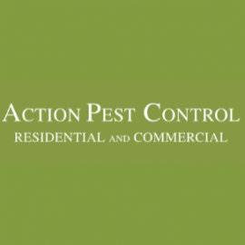 Profile picture of hofaso3314@oremal.com