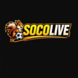 Profile picture of anhquoca76.6@gmail.com