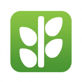 Profile photo of baohoxanh.bhx@gmail.com