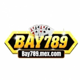 Profile photo of ursulaminchfh16452@hotmail.com