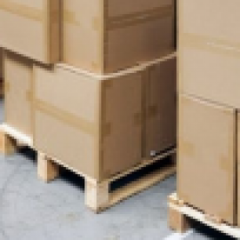 Profile photo of trun.gcargo79@gmail.com