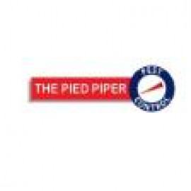 Profile picture of thepiedpiper786@gmail.com