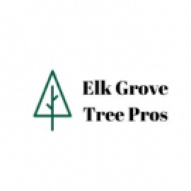 Profile picture of elkgrovetreeservice99@gmail.com