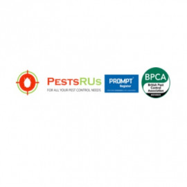 Profile photo of pestsrus1@outlook.com