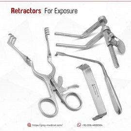 Profile photo of assistantvirtual295@gmail.com