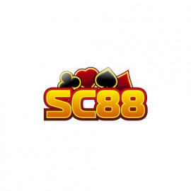 Profile picture of a01031338292@gmail.com