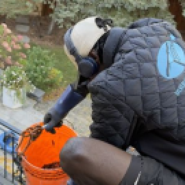 Profile picture of lauzo.n.c.le.m.o.nsnmg@gmail.com