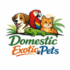 Profile photo of domesticexoticpet@gmail.com