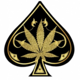 Profile photo of buyaceultra@gmail.com